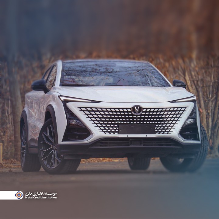 آغاز مرحله جدید فروش خودروهای وارداتی با همکاری مؤسسه اعتباری ملل آغاز مرحله جدید فروش خودروهای وارداتی با همکاری مؤسسه اعتباری ملل